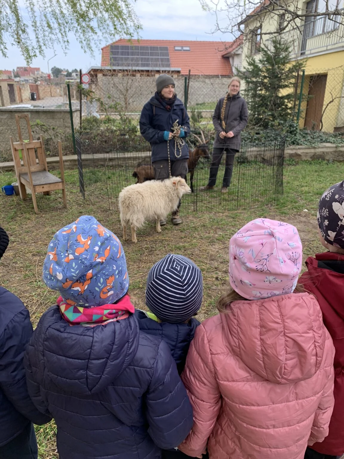 Rohatá návštěva na Habánské